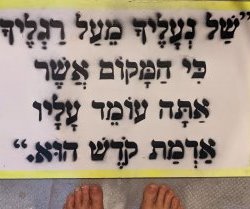 sign-2