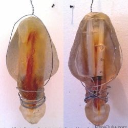 penis-bondage-both-sides