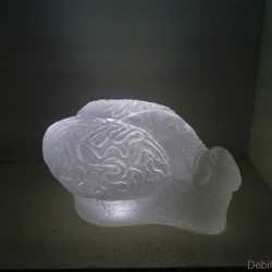penis_brain_glass