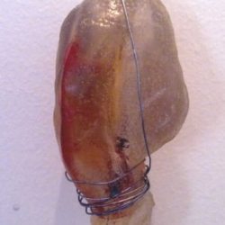 side-view-penis-bondage-art