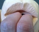 fingers-in-mouth