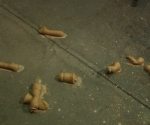 my-erotic-video-art-3
