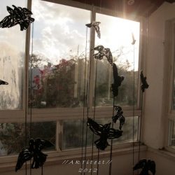 maya-gelfman