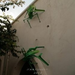 natalie-mandel-bugs