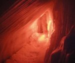 cervix-uteri