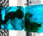 dscn0940