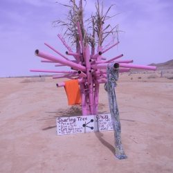 dscn7916