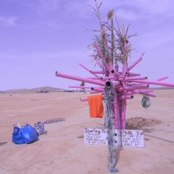 dscn7917