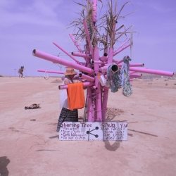 dscn7919