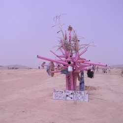 dscn7930