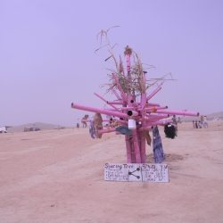 dscn7931
