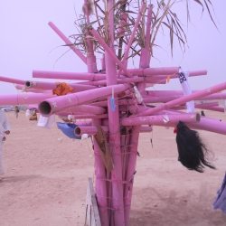 dscn7940