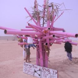 dscn7941