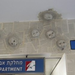dscn7362