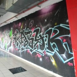 dscn7372