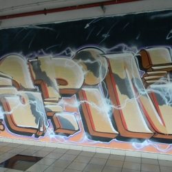 dscn7381