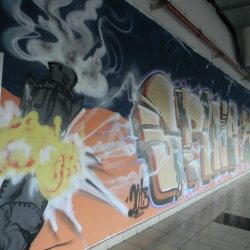 dscn7382