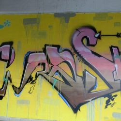 dscn7396