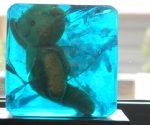 59iceagesmall